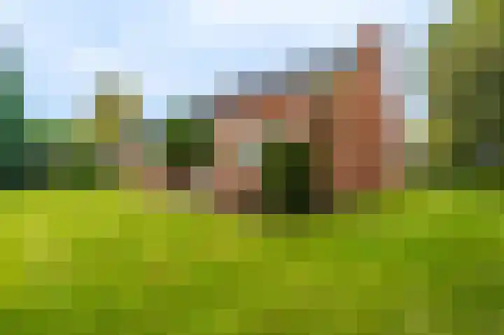 Wischmei 2 a Vlagtwedde thumbnail 4