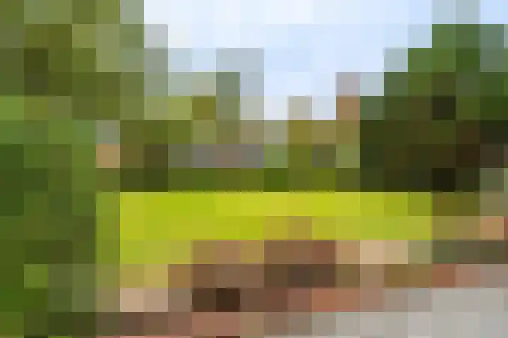 Wischmei 2 a Vlagtwedde thumbnail 5