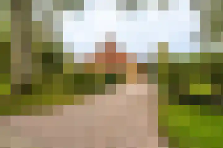Wischmei 2 a Vlagtwedde thumbnail 6