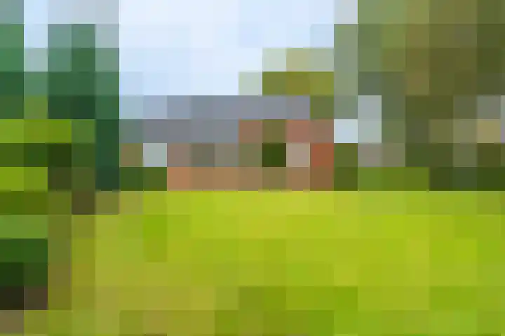 Wischmei 2 a Vlagtwedde thumbnail 7