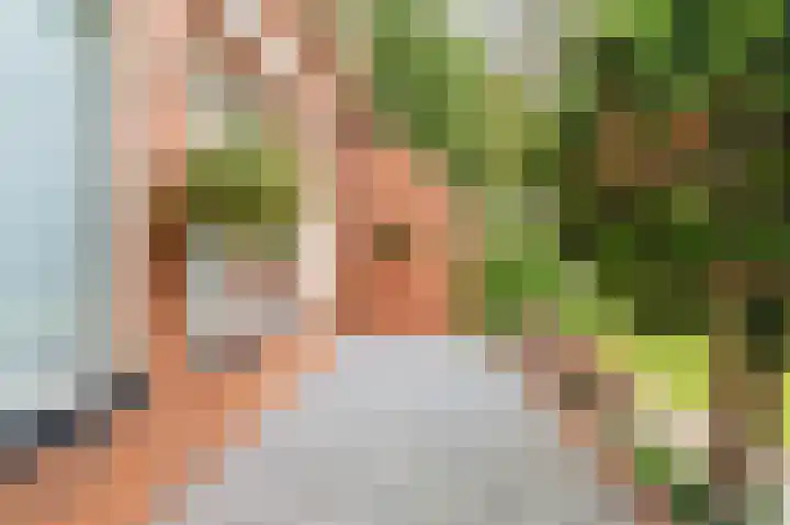 Wischmei 2 a Vlagtwedde thumbnail 8