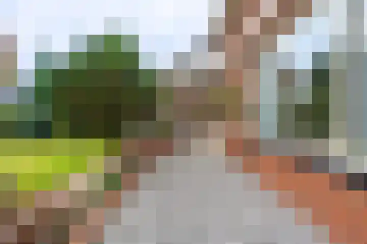 Wischmei 2 a Vlagtwedde thumbnail 9