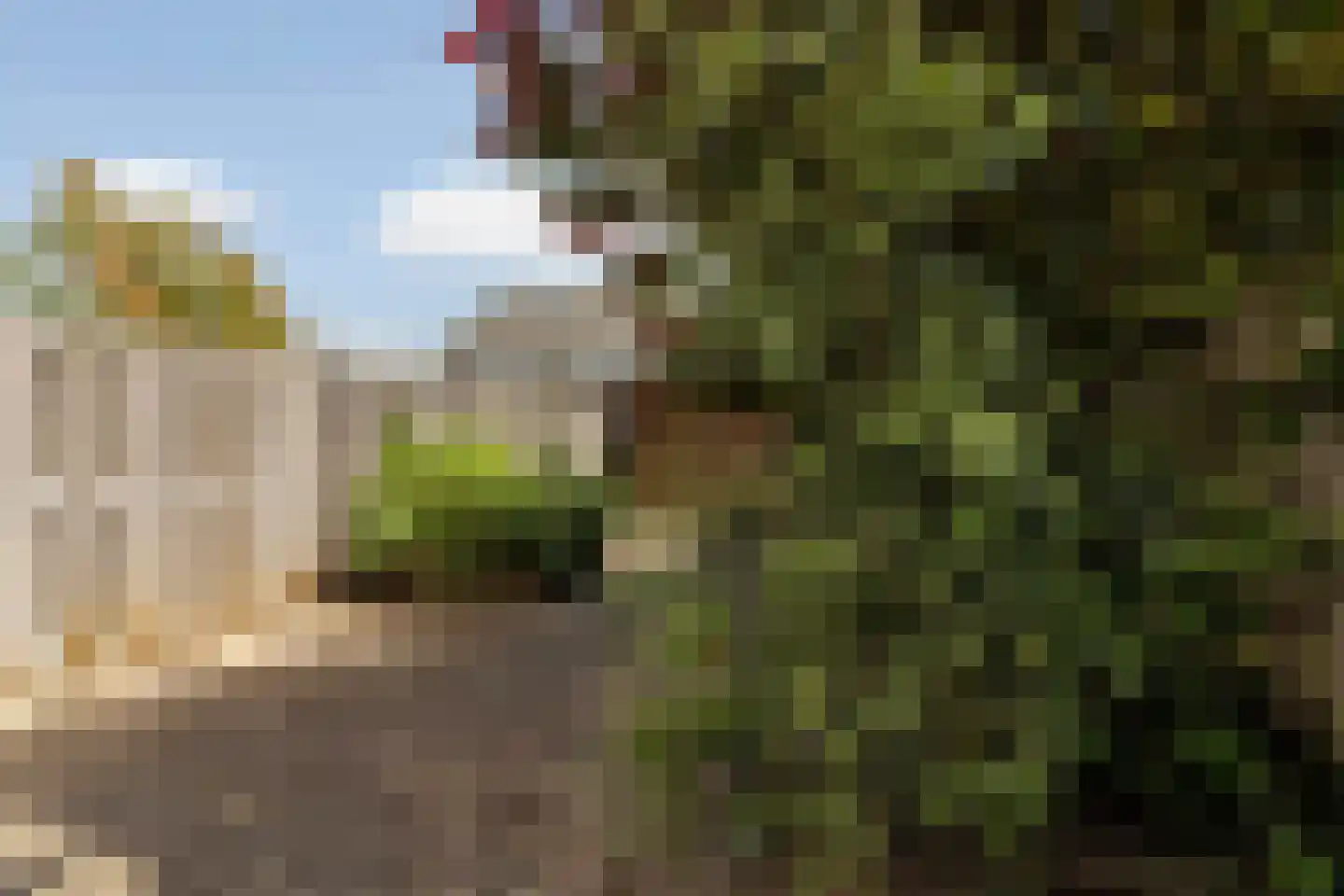 Wisentstraat 10 Almere thumbnail 36