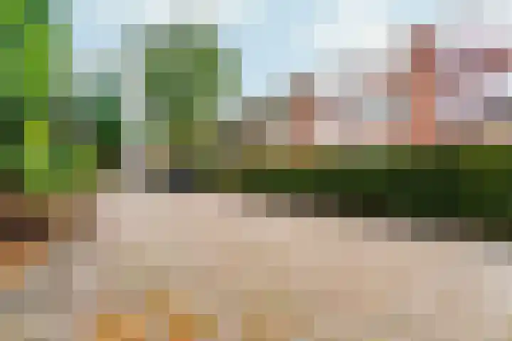 Wisentstraat 14 Nijmegen thumbnail 31