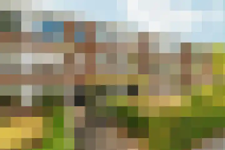 Wisentstraat 14 Nijmegen thumbnail 5