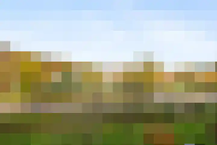 Wisentstraat 18 Nijmegen thumbnail 31
