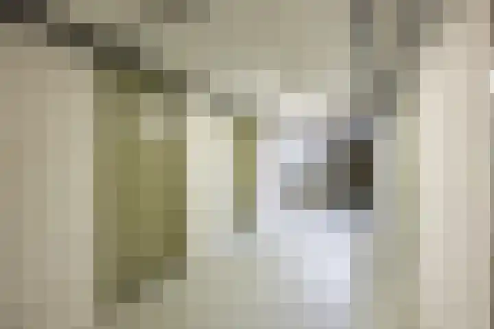 Wisentstraat 18 Nijmegen thumbnail 33