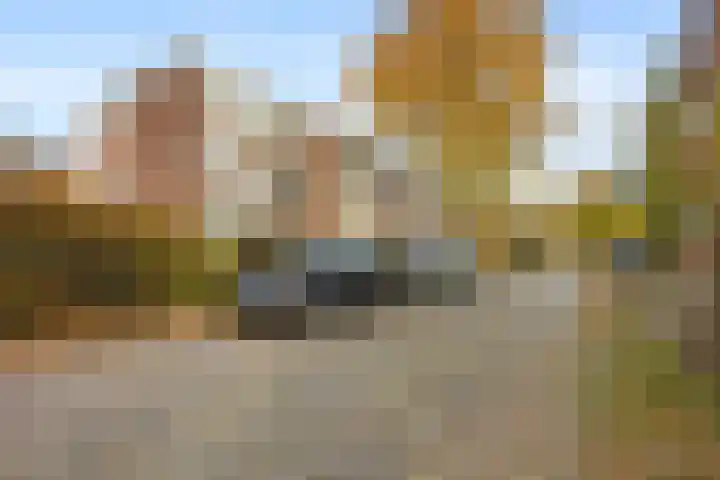 Wisentstraat 18 Nijmegen thumbnail 34