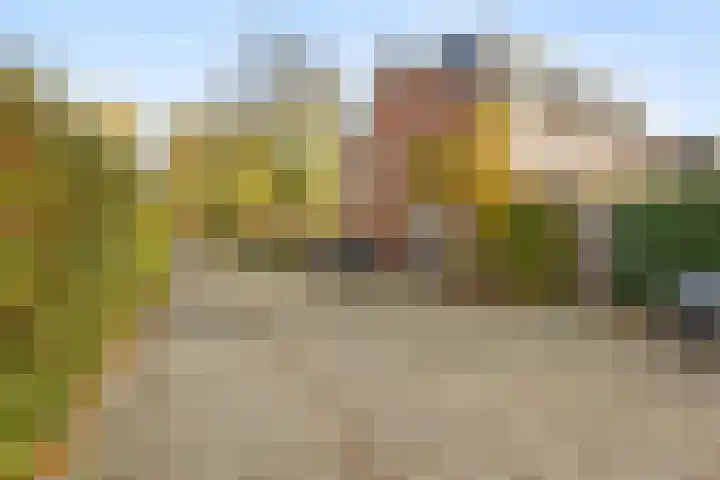 Wisentstraat 18 Nijmegen thumbnail 35
