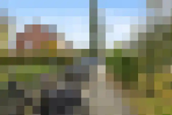 Wisentstraat 18 Nijmegen thumbnail 36