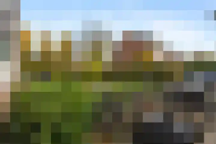 Wisentstraat 18 Nijmegen thumbnail 38