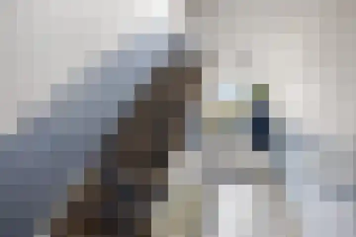 Wisentstraat 18 Nijmegen thumbnail 7