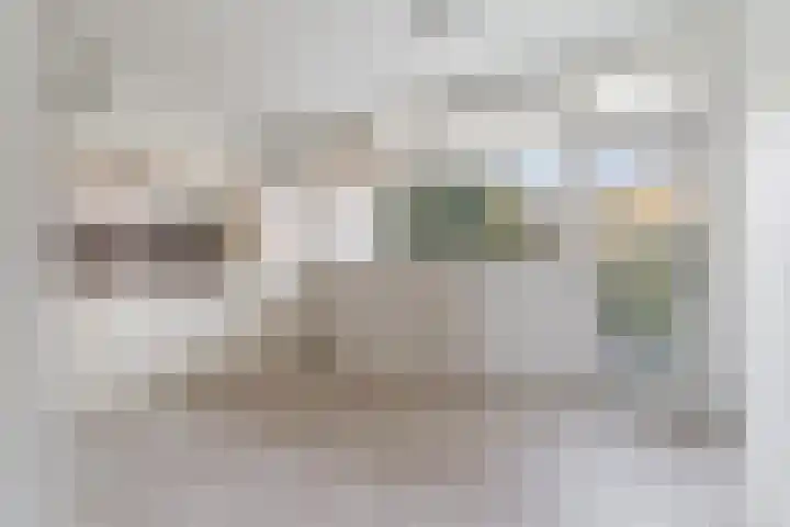 Wisentstraat 2 Nijmegen thumbnail 21
