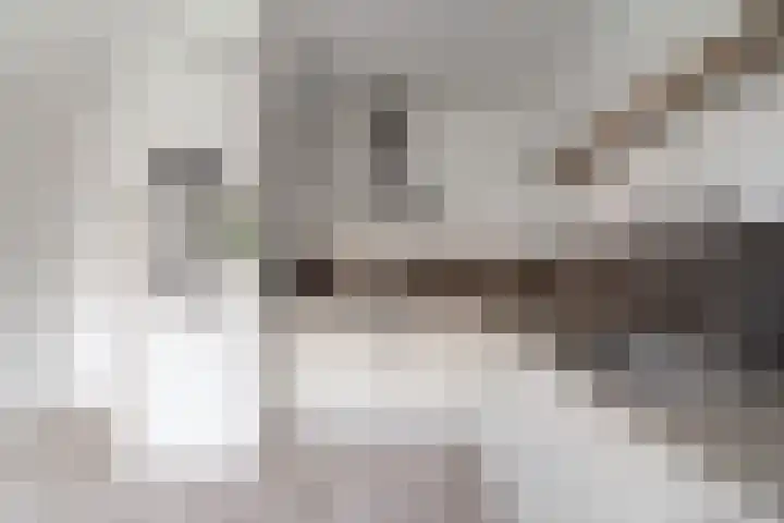 Wisentstraat 2 Nijmegen thumbnail 23