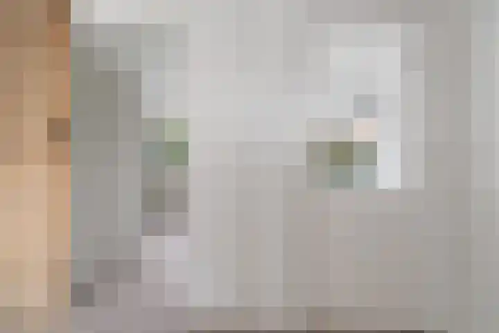 Wisentstraat 2 Nijmegen thumbnail 34