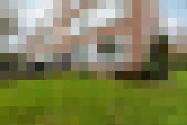 Wisentstraat 2 Nijmegen thumbnail 42