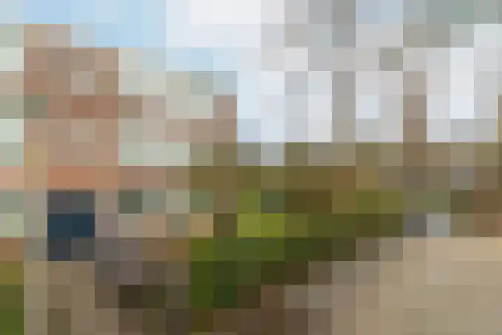 Wisentstraat 2 Nijmegen thumbnail 47