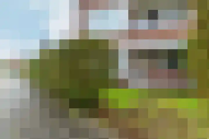 Wisentstraat 2 Nijmegen thumbnail 52