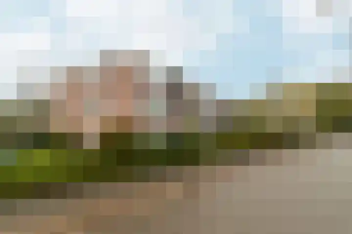 Wisentstraat 2 Nijmegen thumbnail 60
