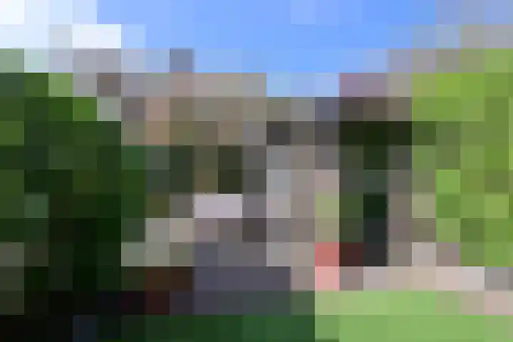 Wisentstraat 28 Bussum thumbnail 22
