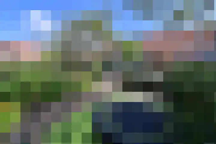 Wisentstraat 28 Bussum thumbnail 23