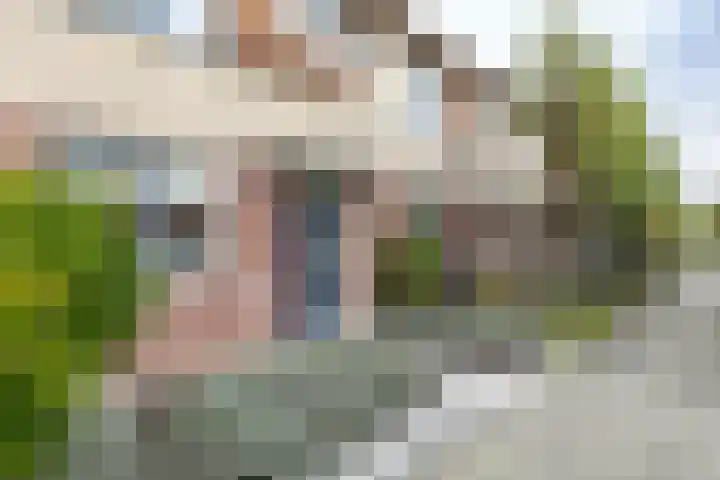 Wisentstraat 3 Breda thumbnail 11
