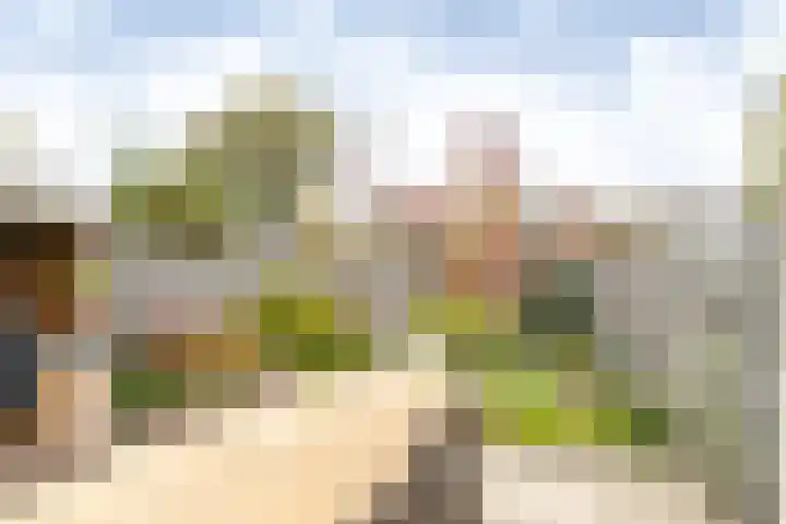Wisentstraat 3 Breda thumbnail 39