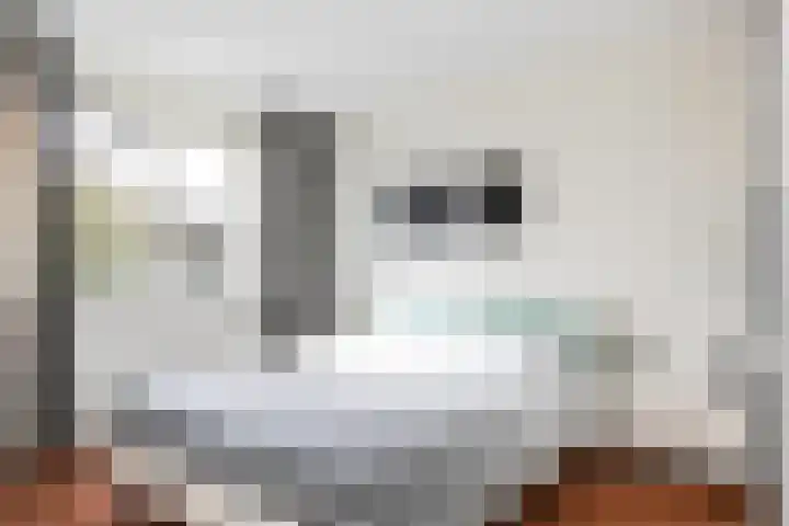 Wisentstraat 3 Breda thumbnail 4
