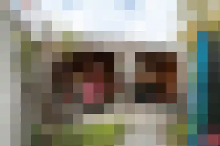 Wisentstraat 3 Breda thumbnail 43