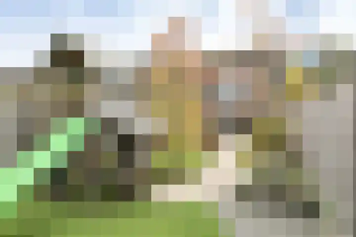 Wisentstraat 3 Breda thumbnail 48