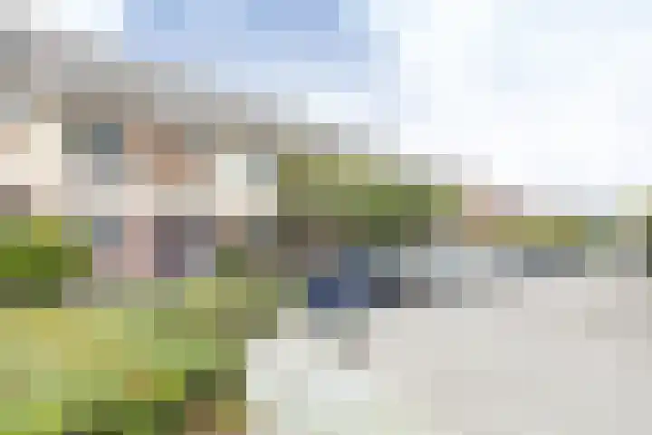 Wisentstraat 3 Breda thumbnail 52