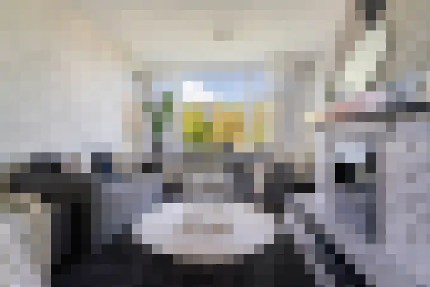 Wisentstraat 30 Nijmegen thumbnail 16