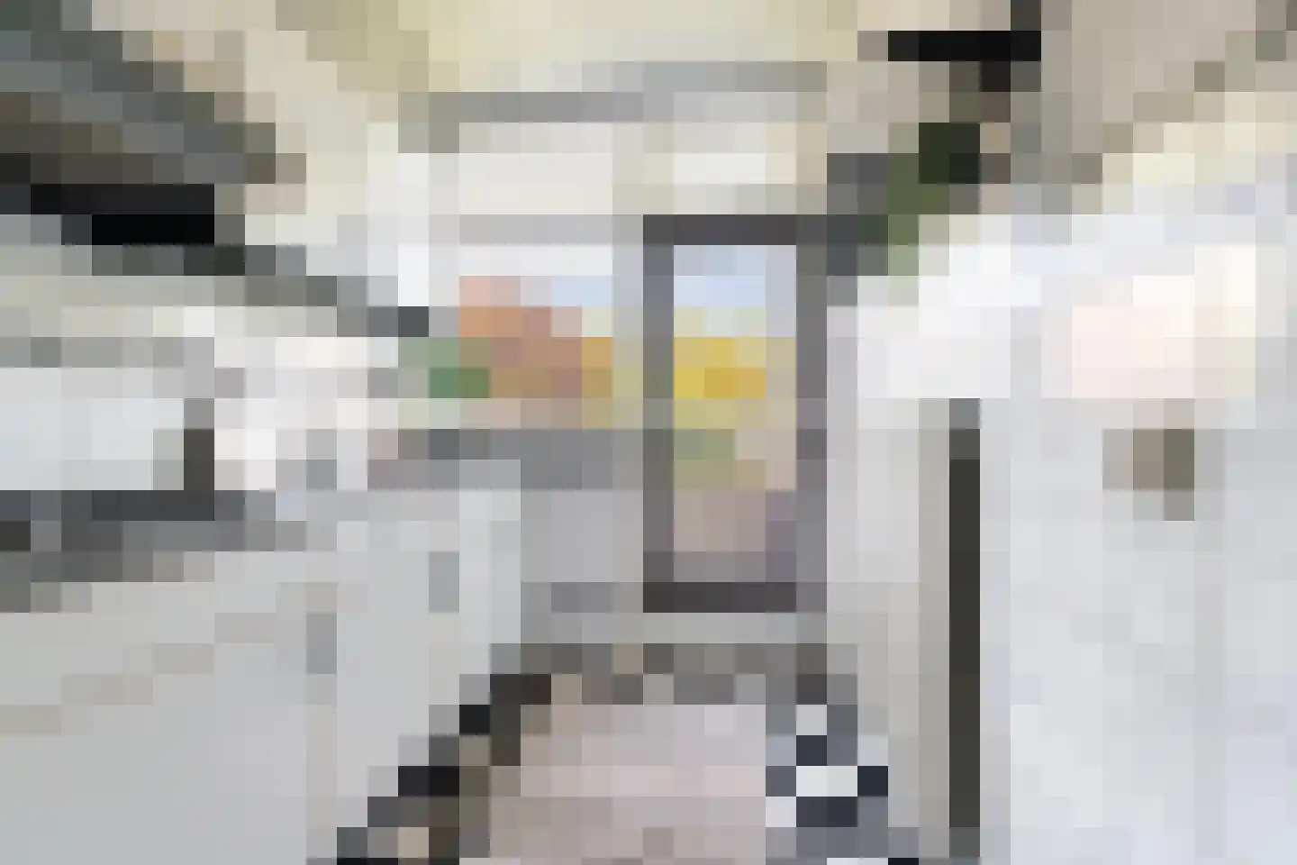 Wisentstraat 30 Nijmegen thumbnail 26