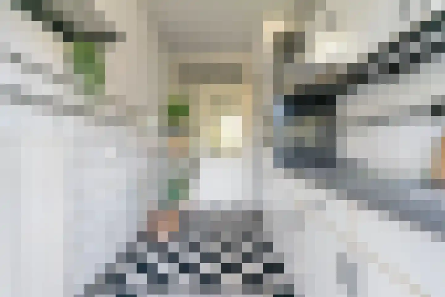 Wisentstraat 30 Nijmegen thumbnail 27