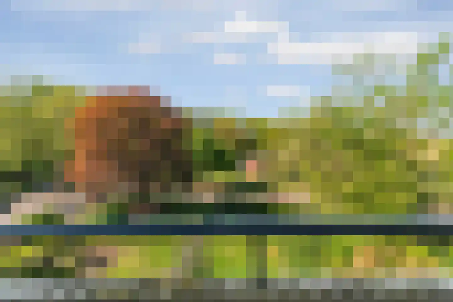 Wisentstraat 30 Nijmegen thumbnail 8
