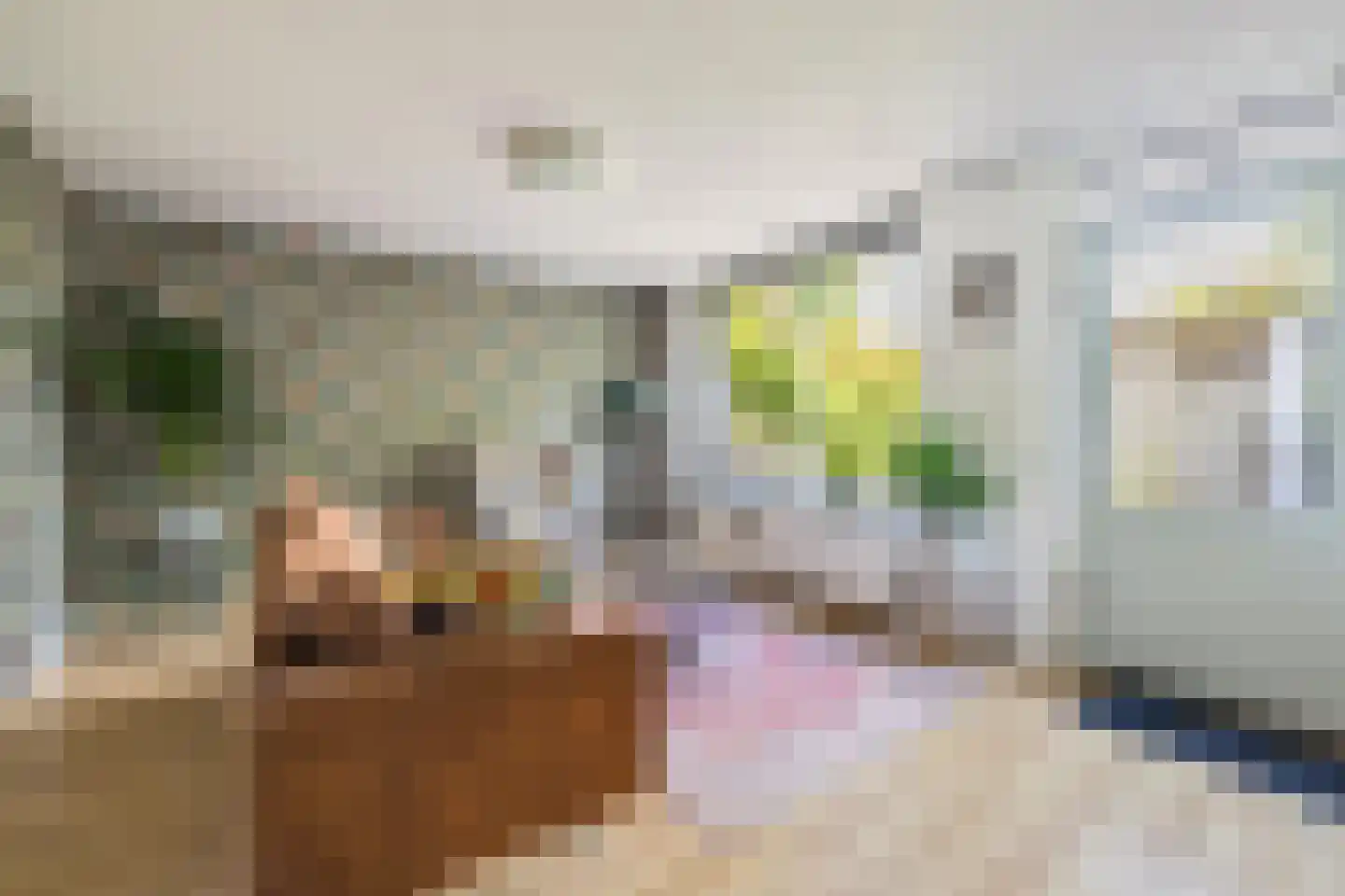Wisentstraat 35 Breda thumbnail 17