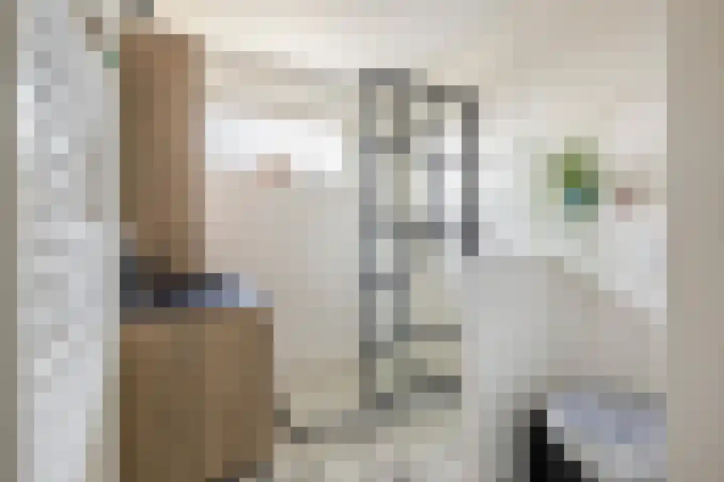 Wisentstraat 35 Breda thumbnail 39