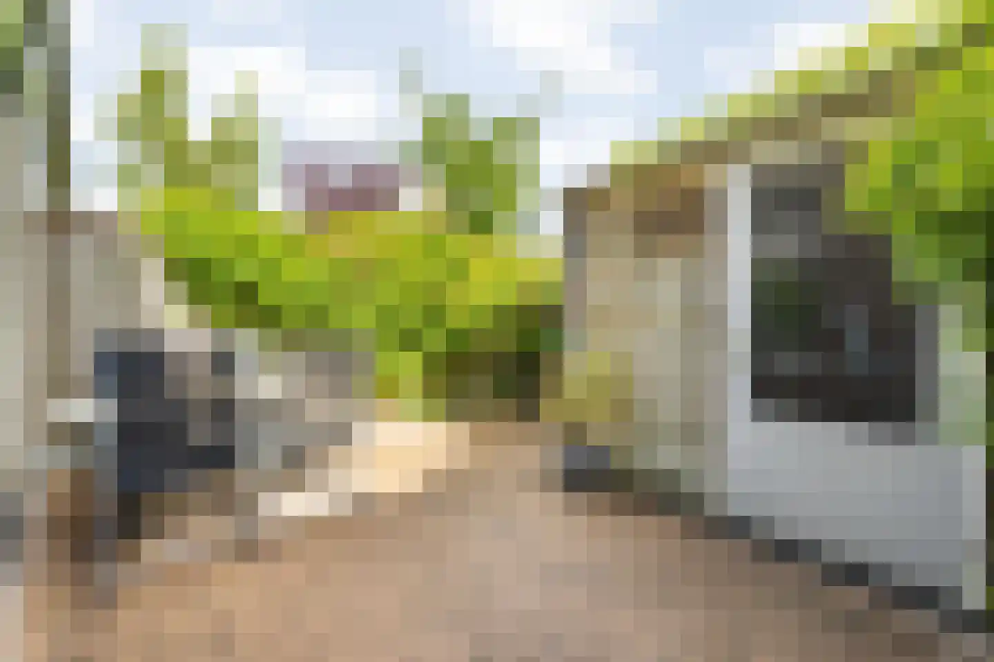 Wisentstraat 35 Breda thumbnail 50