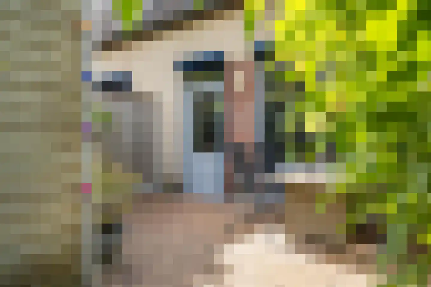Wisentstraat 35 Breda thumbnail 52
