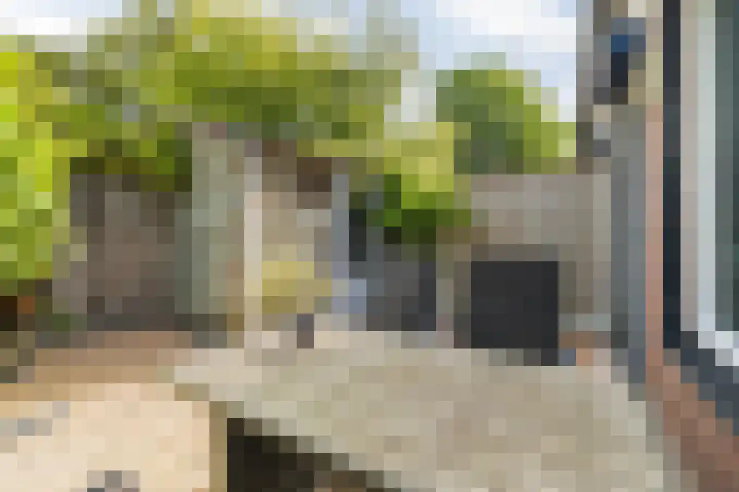 Wisentstraat 35 Breda thumbnail 53