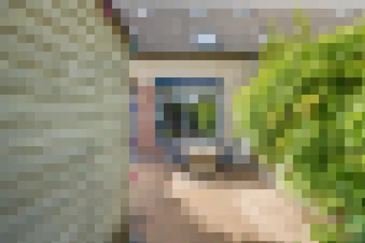 Wisentstraat 35 Breda thumbnail 54
