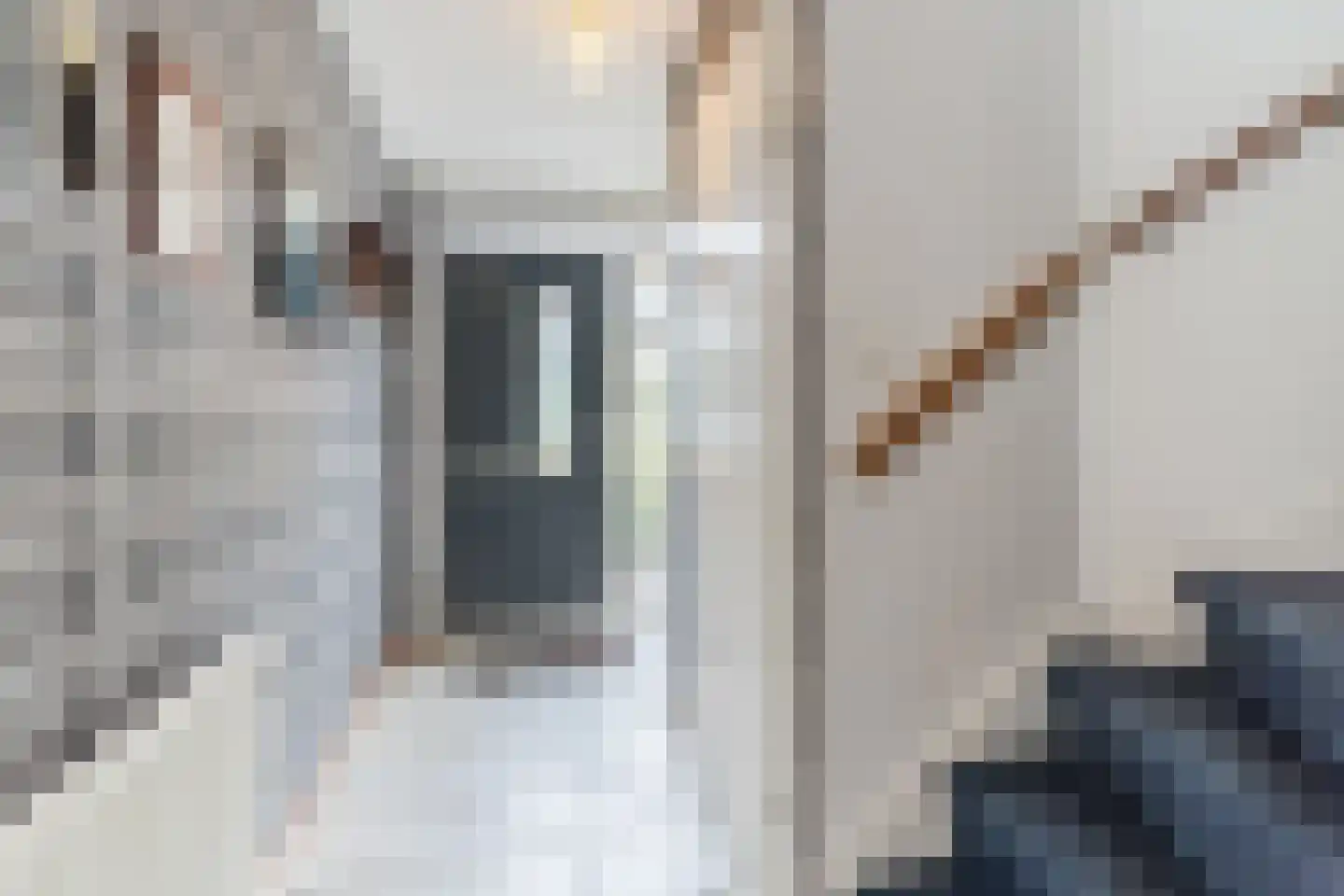 Wisentstraat 39 Breda thumbnail 21