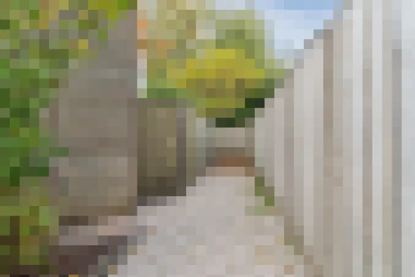 Wisentstraat 39 Breda thumbnail 35