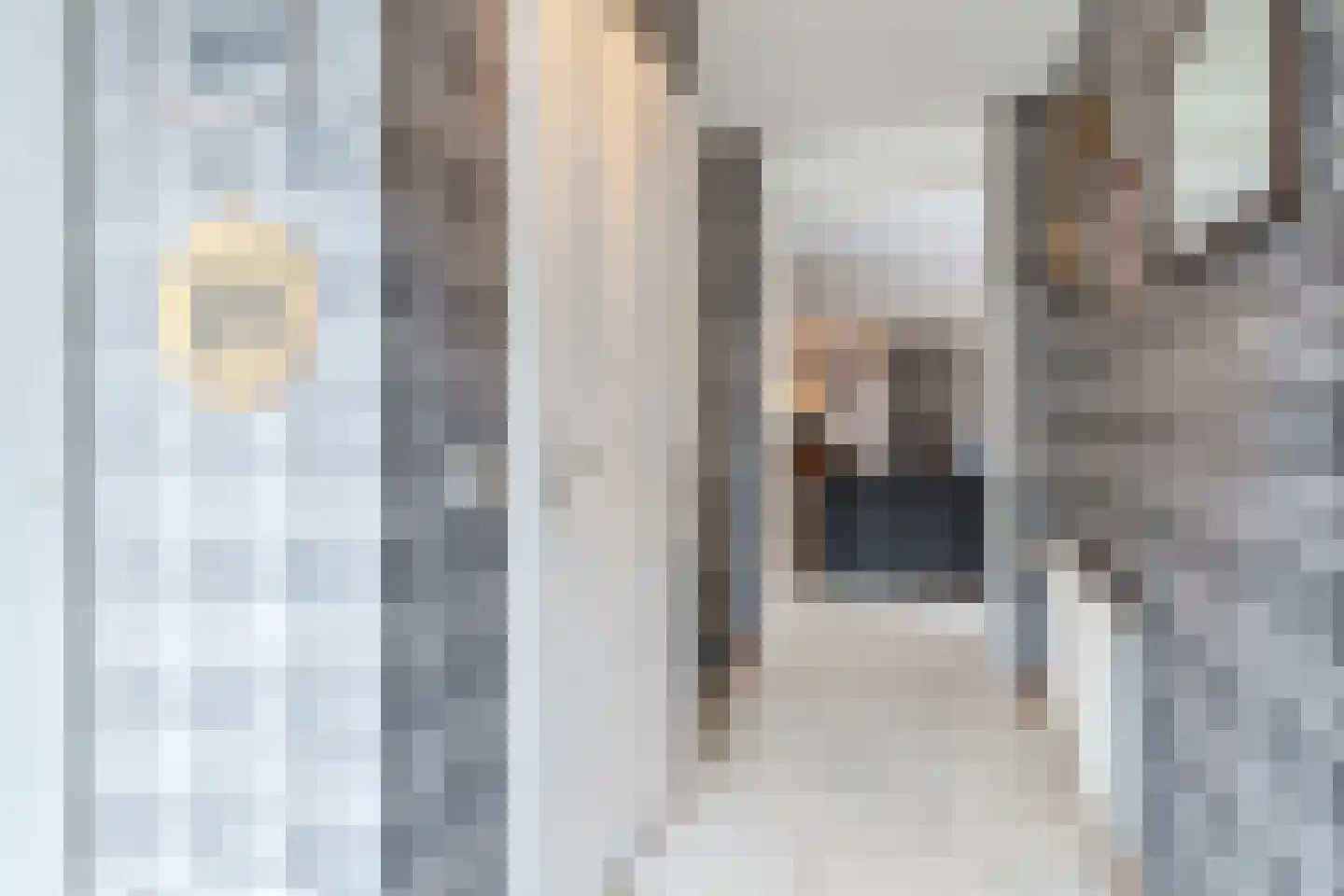 Wisentstraat 39 Breda thumbnail 9