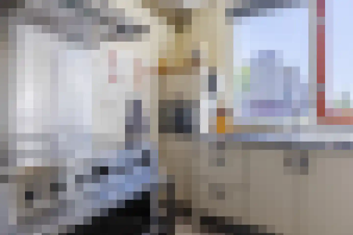 Wisentstraat 41 Breda thumbnail 17