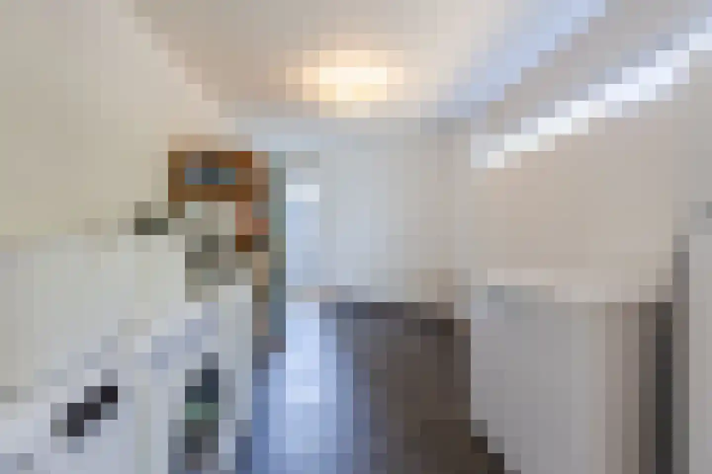 Wisentstraat 41 Breda thumbnail 18