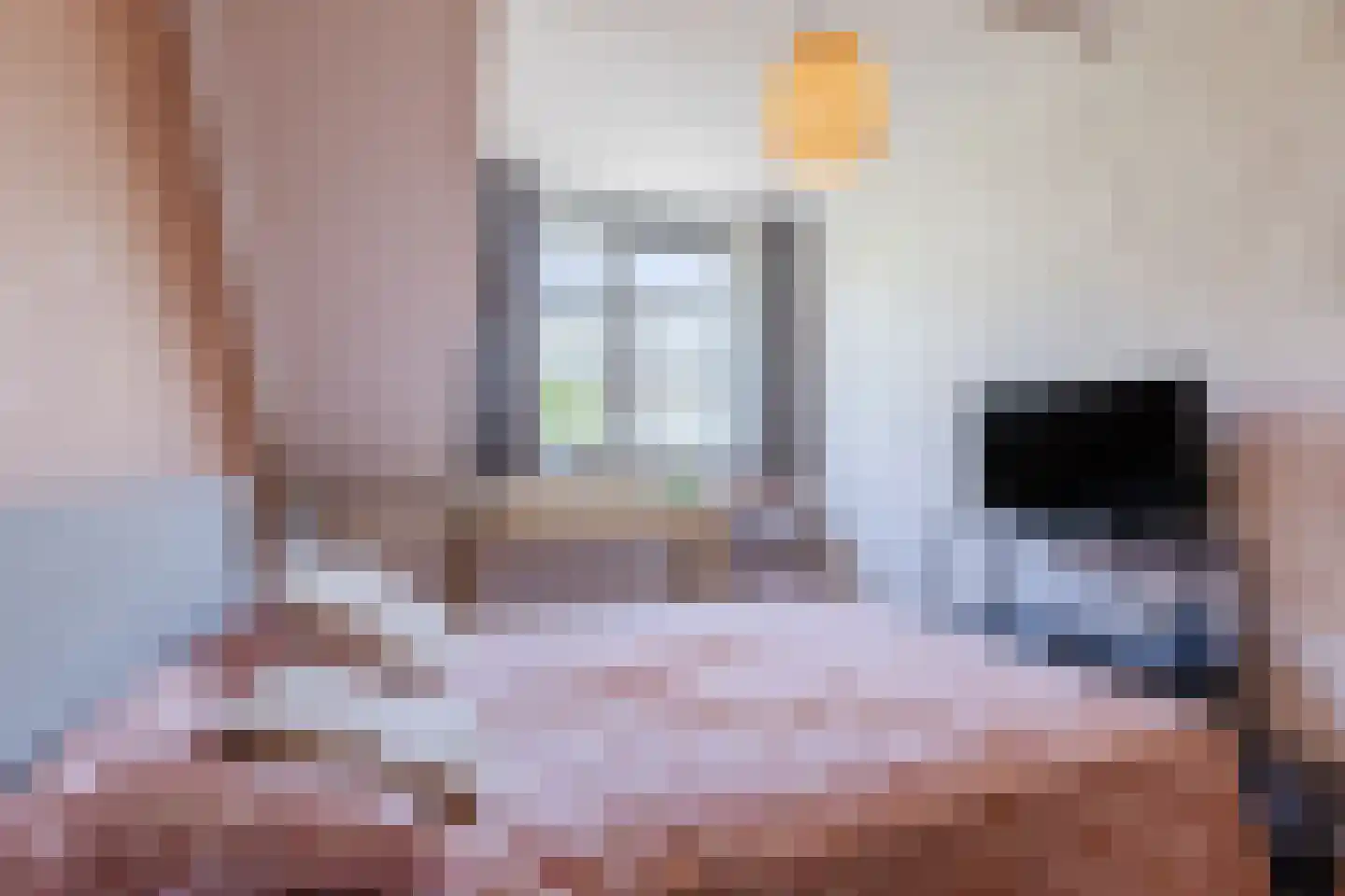 Wisentstraat 41 Breda thumbnail 23