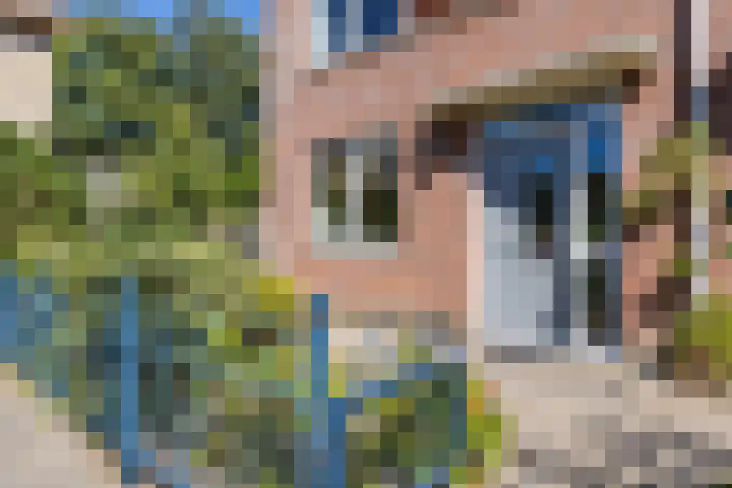 Wisentstraat 41 Breda thumbnail 6