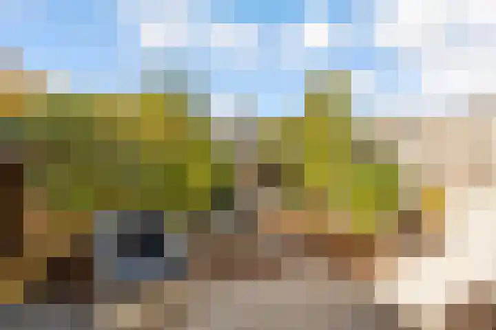 Wisentstraat 5 Almere thumbnail 9