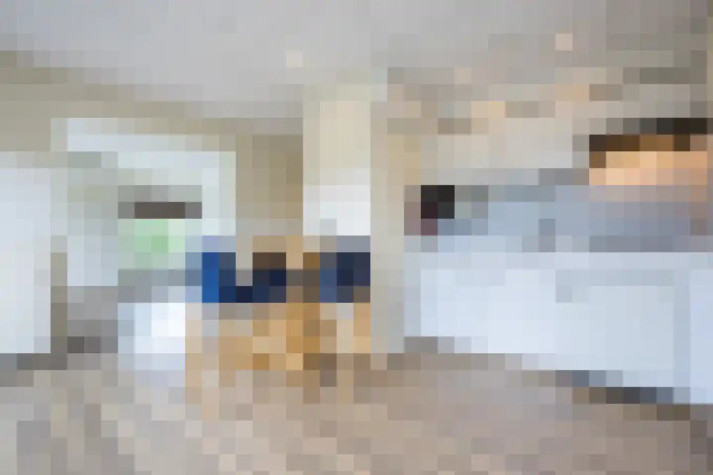 Wisentstraat 6 Nijmegen thumbnail 10